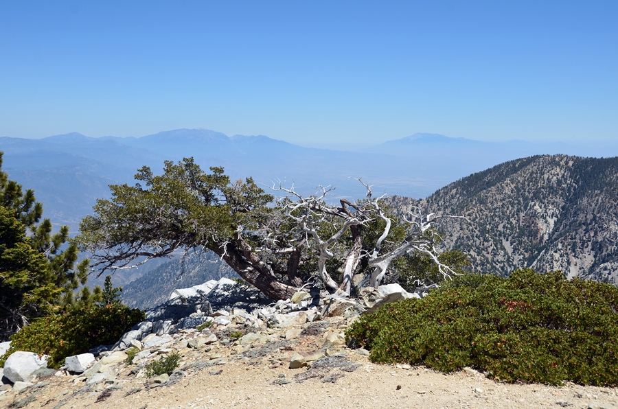 TelegraphPeak.jpg