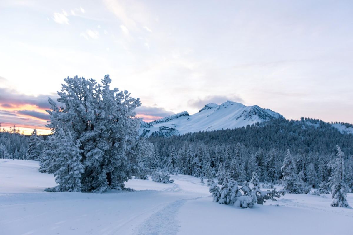 MammothLakes.jpeg