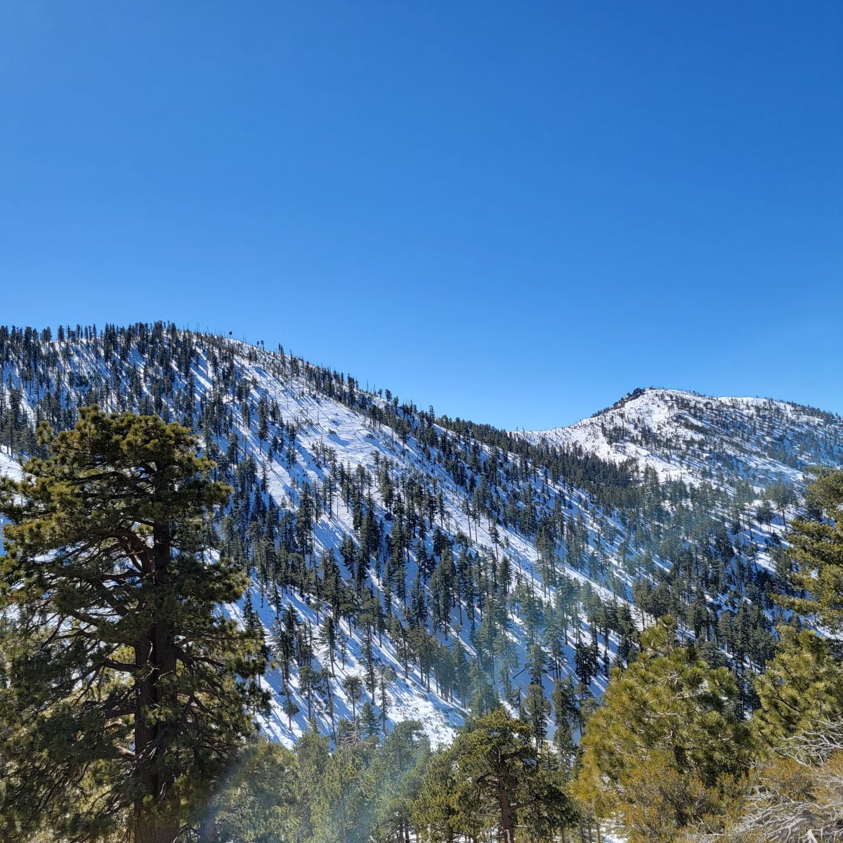 20220206_121342.jpg