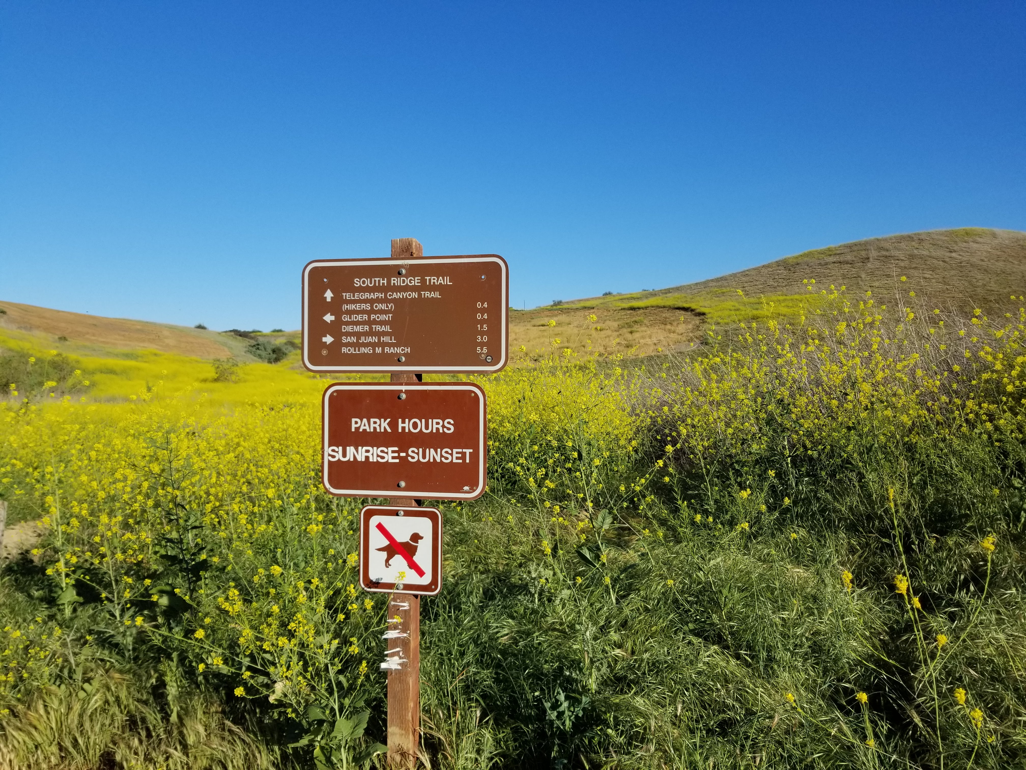 1618794124306-19.jpg