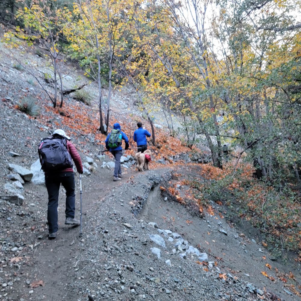 20221023_090551.jpg