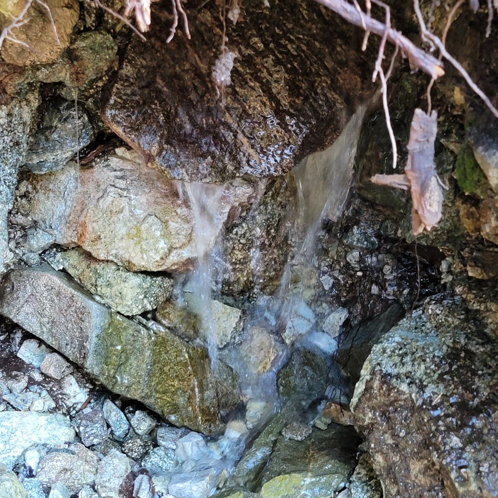 20221023_100824.jpg