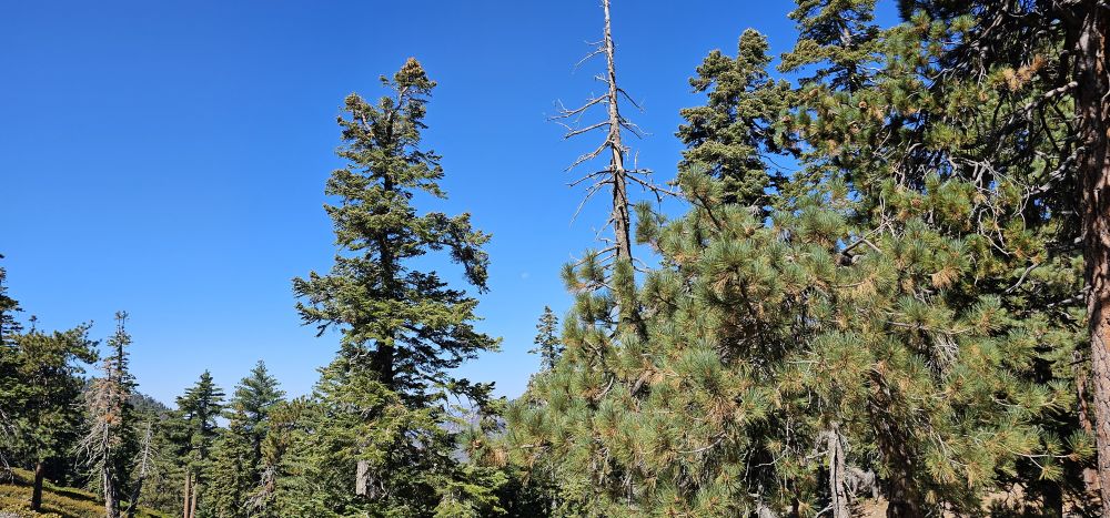 20240922_110558.jpg