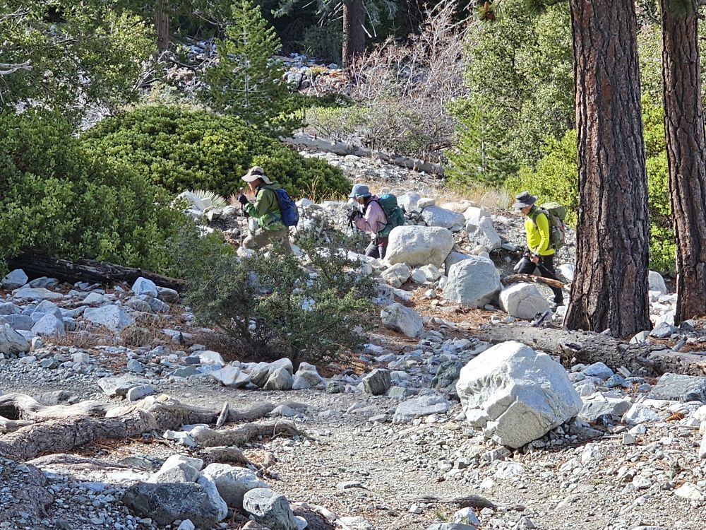 20250209_093552.jpg