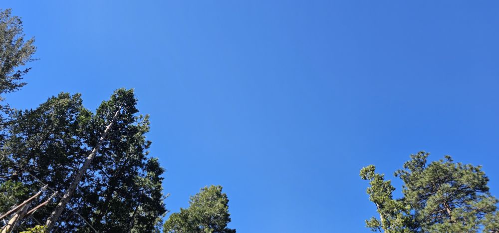 20240512_085033.jpg