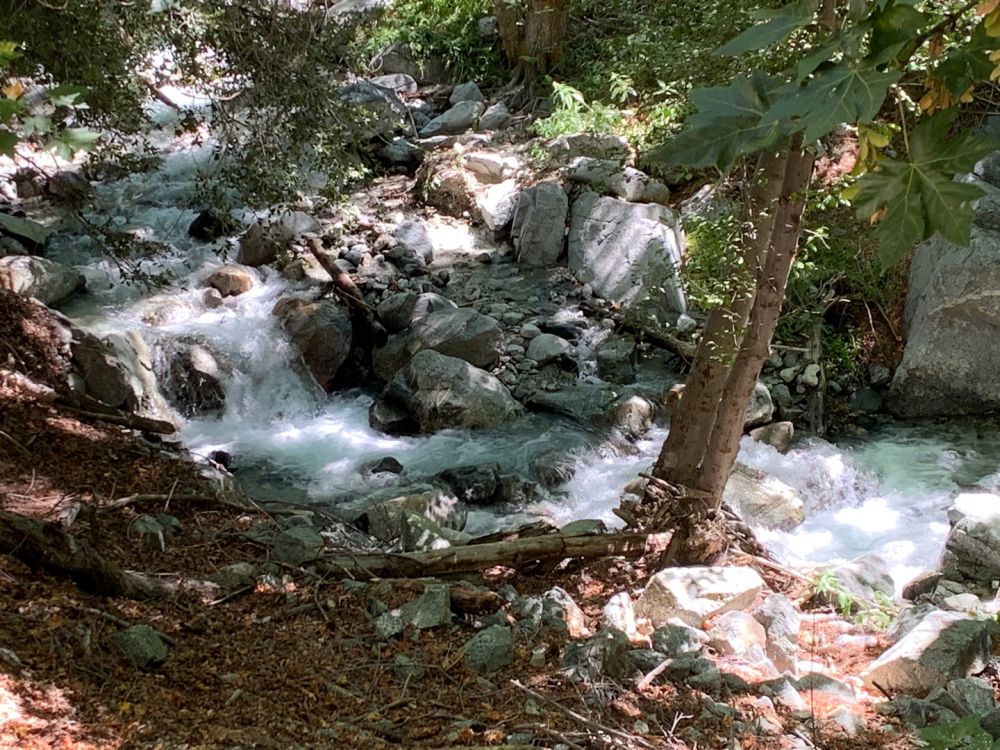 temp_1693185869572.-1877048755.jpeg