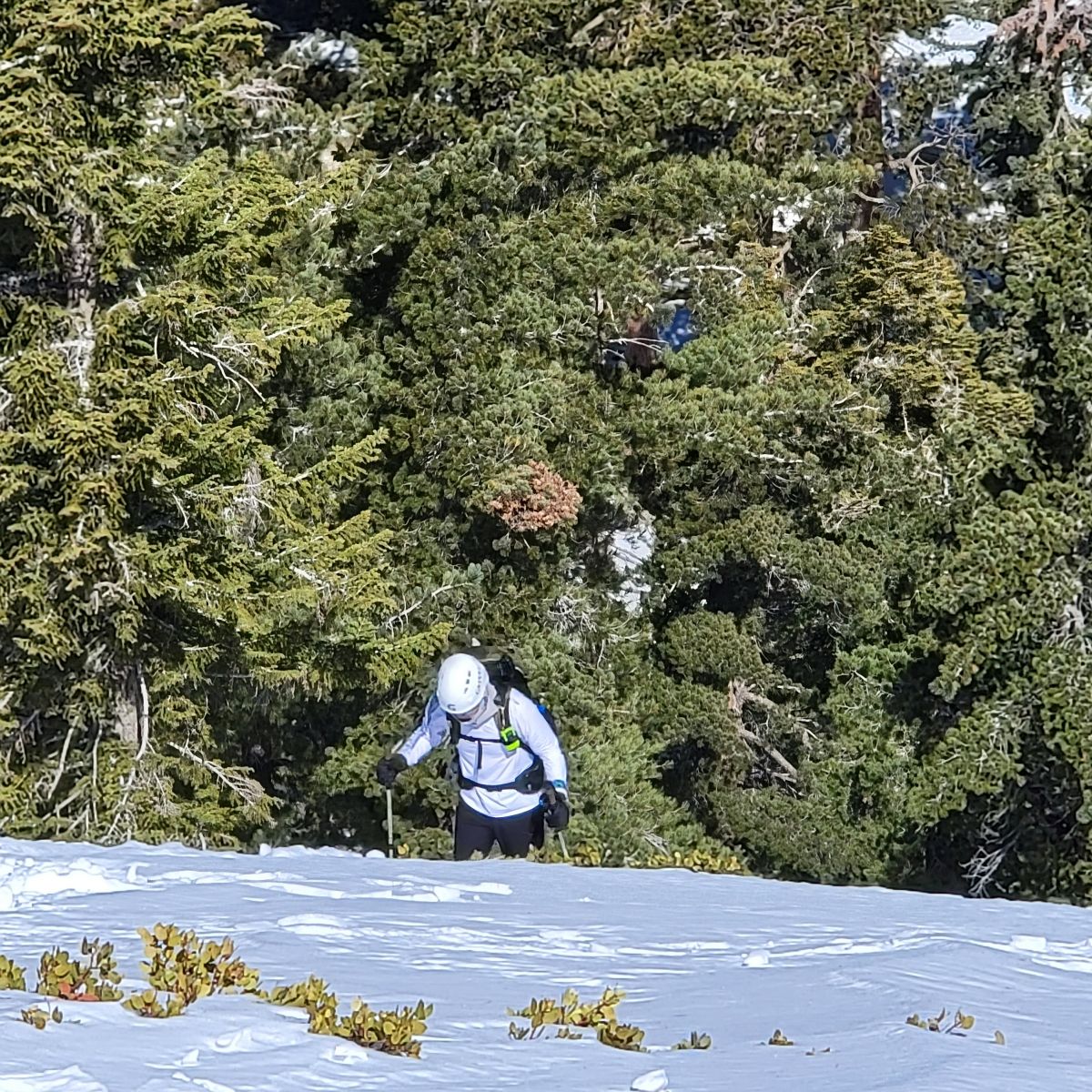 20220220_110636.jpg