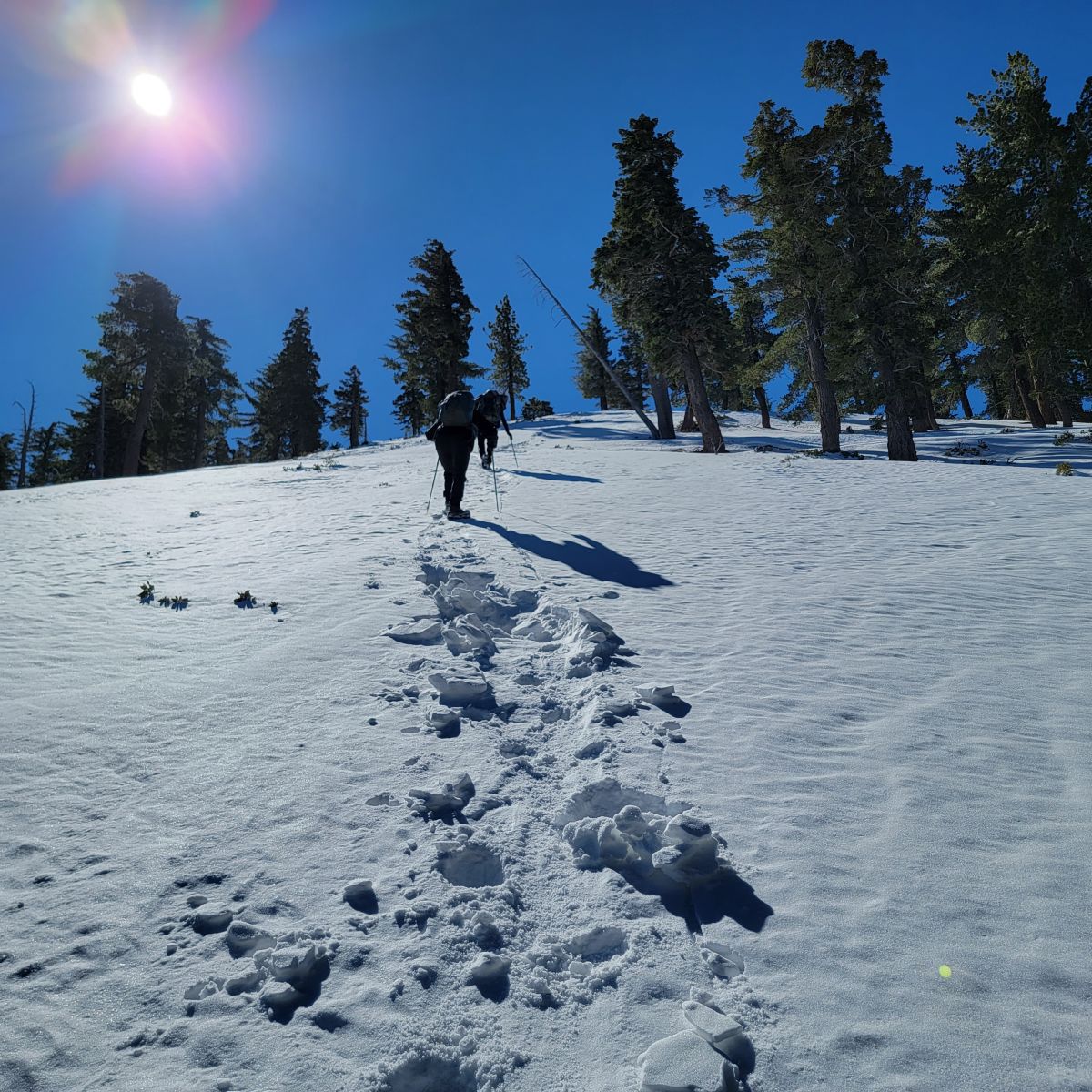 20220220_105308.jpg