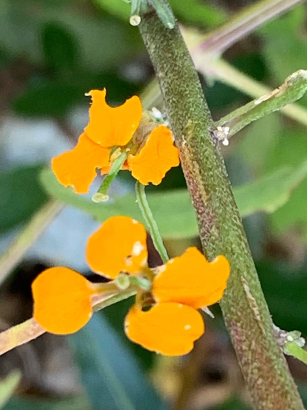 KakaoTalk_20241006_171901493_04.jpg