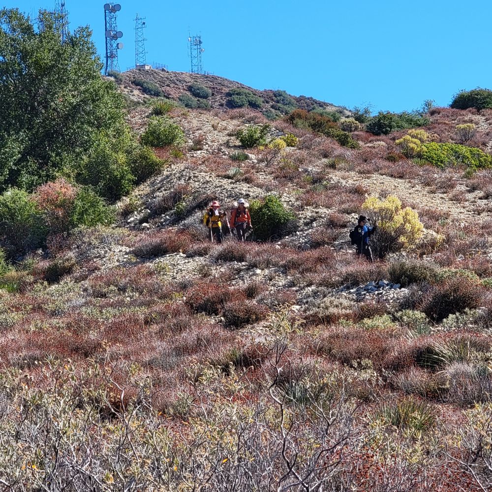 20221106_121919.jpg