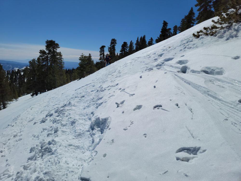 20230219_113534.jpg