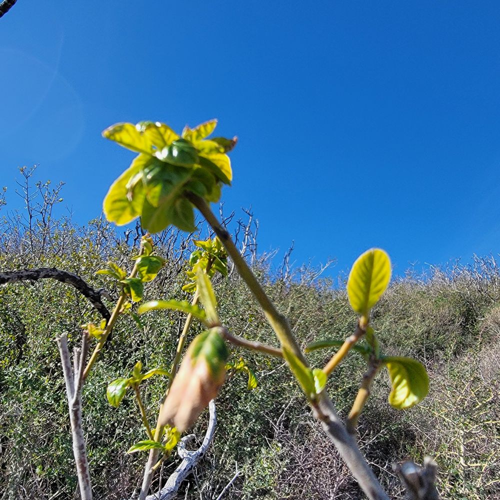 20220313_104659.jpg
