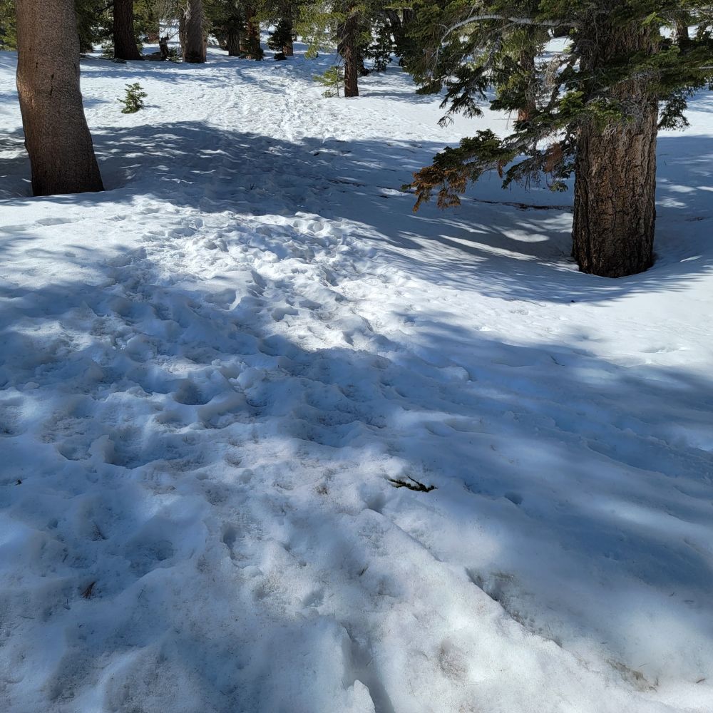 20220320_105233.jpg