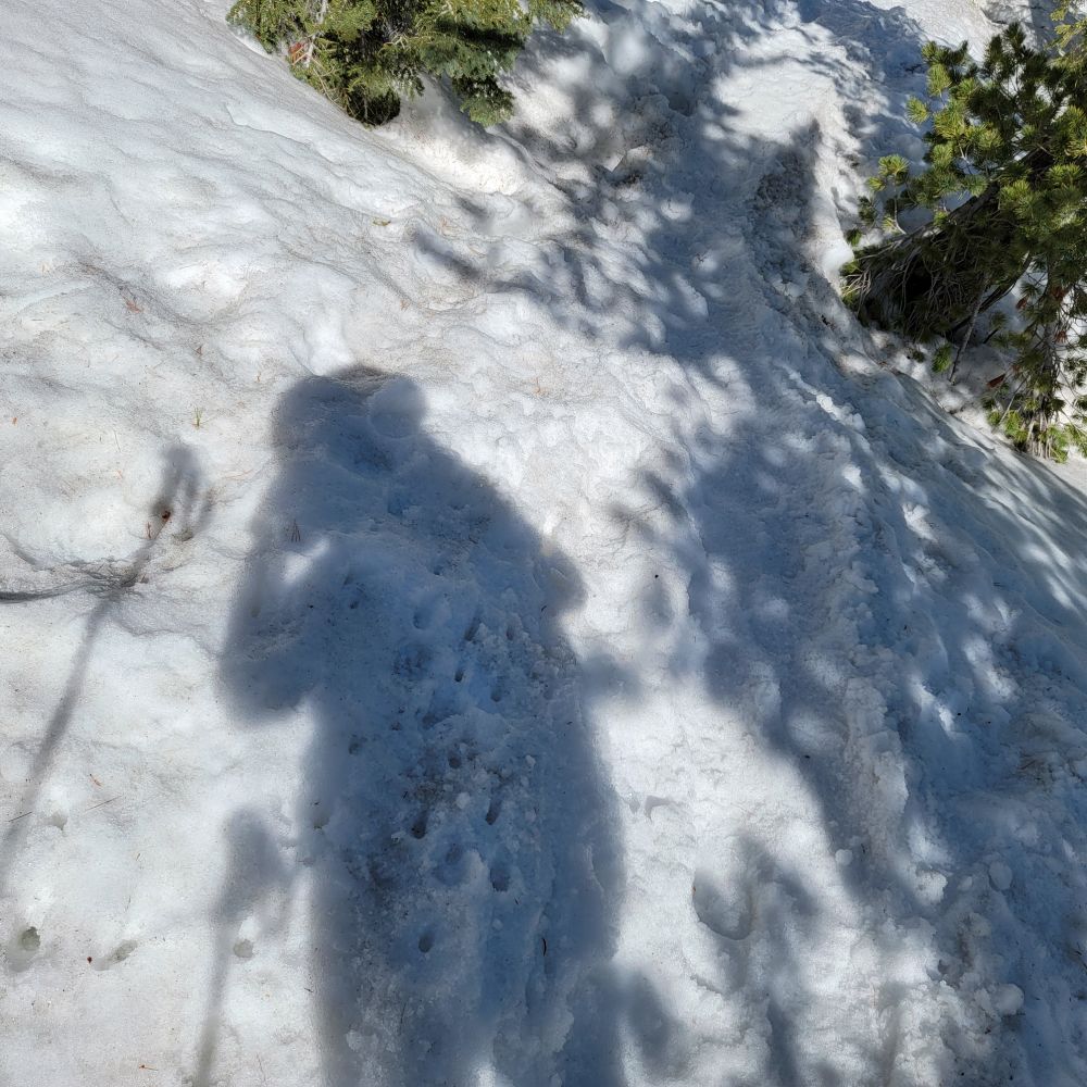 20220320_105240.jpg