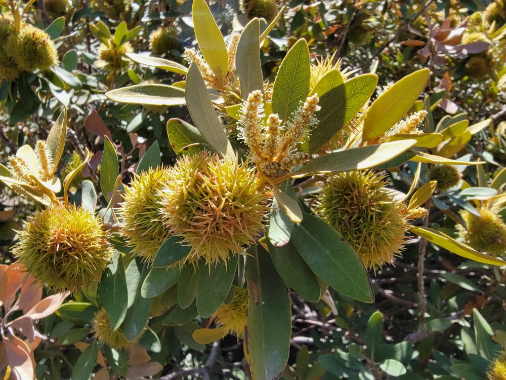 20220717_104241.jpg