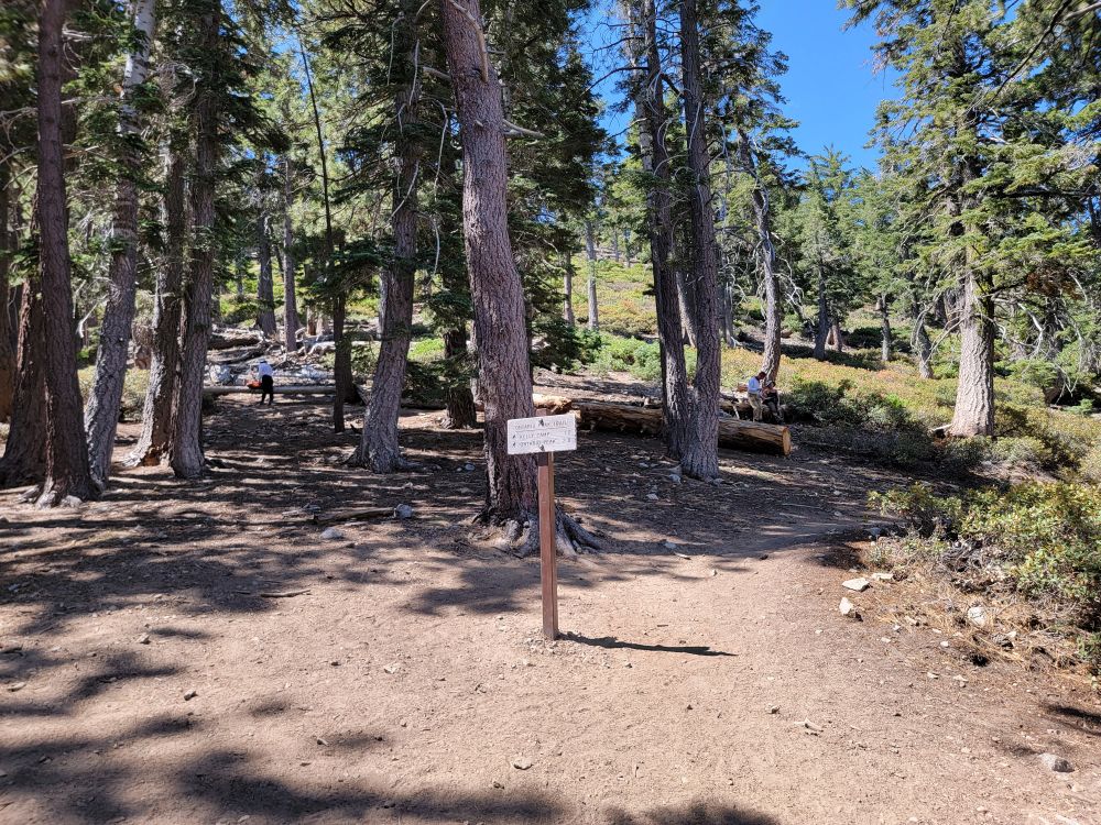 20220717_104535.jpg