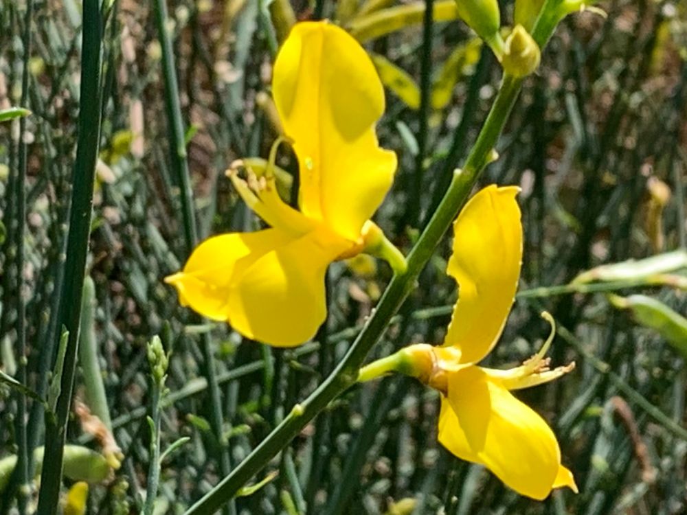 KakaoTalk_20230910_192400518_13.jpg