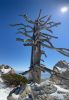 temp_1741580425880.-496153072.jpeg
