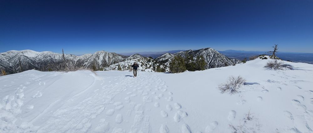 20250309_125339.jpg