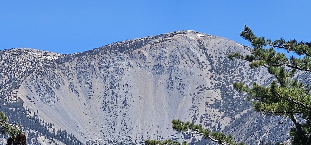 20240616_110123.jpg