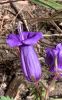 temp_1716182593211.-581099570.jpeg