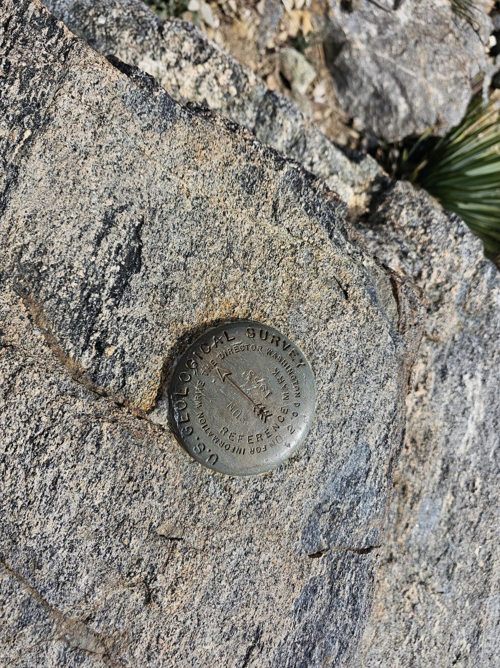20260215_101532.jpg