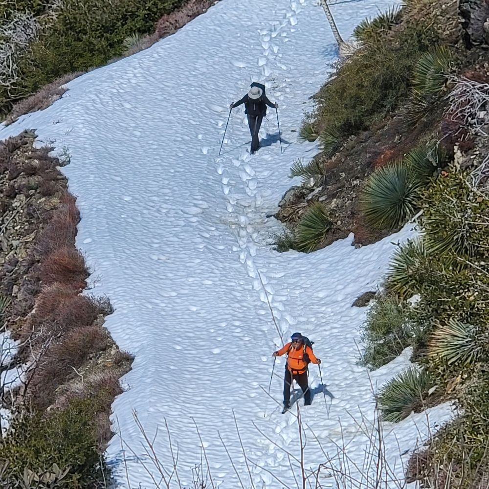 20230312_122641.jpg