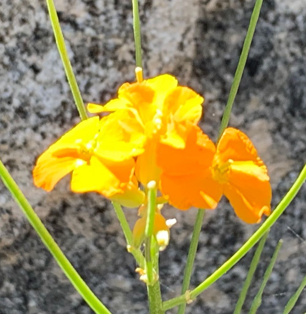 KakaoTalk_20240707_172941888_10.jpg