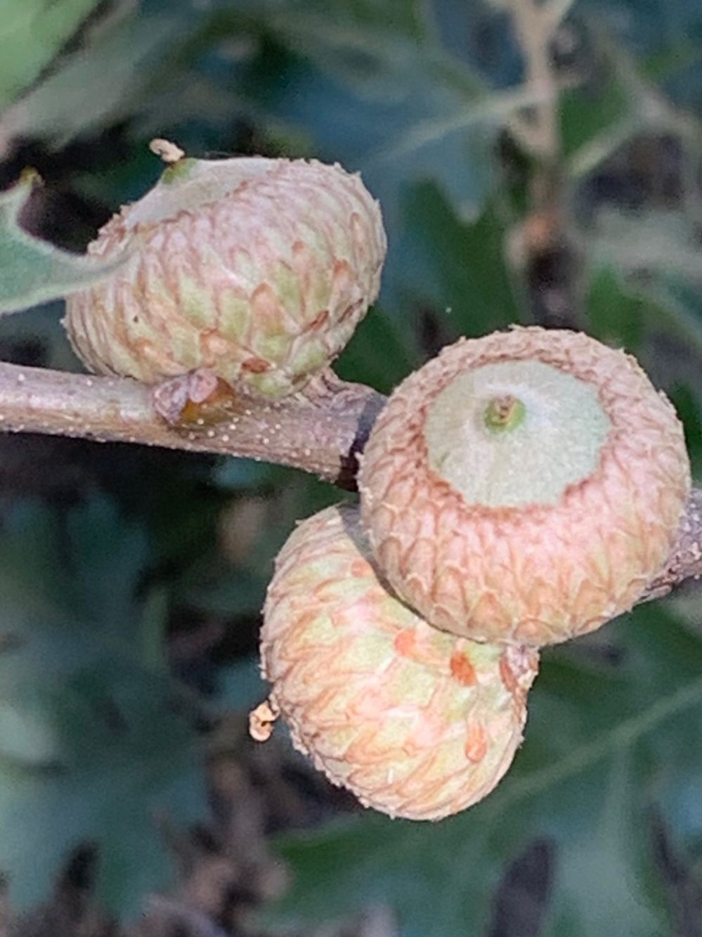 KakaoTalk_20240707_172941888_26.jpg