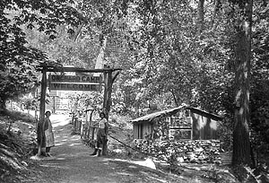or-cmp-h-1335.jpg