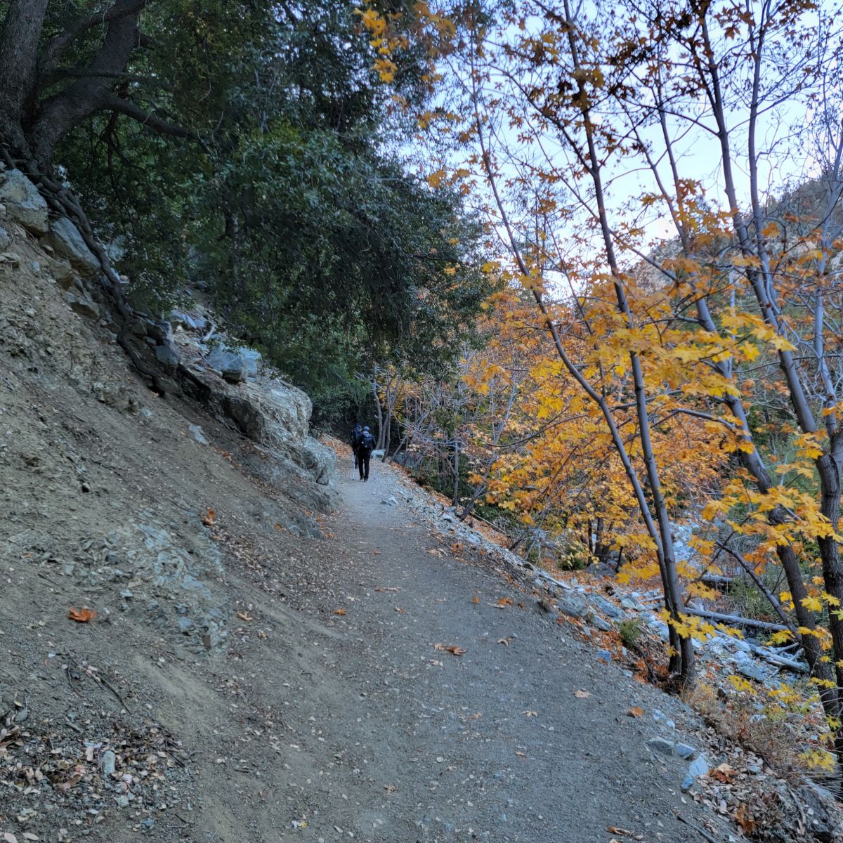20211031_085816.jpg