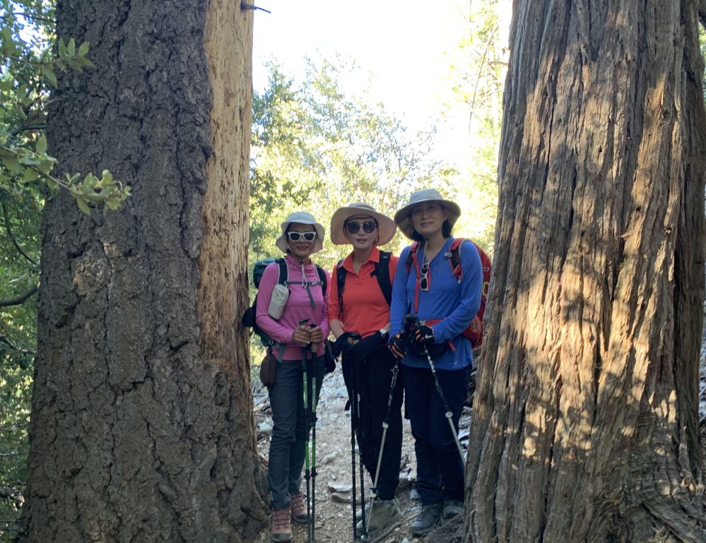temp_1760319346942.-1281811564.jpeg