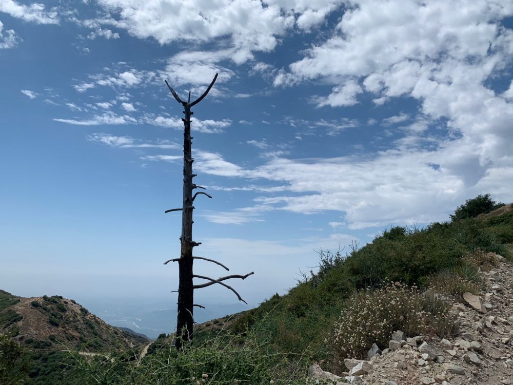 KakaoTalk_20240714_162018055_09.jpg