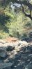 temp_1754273250524.-1612024347.jpeg