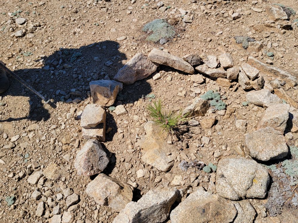 20220508_104758.jpg