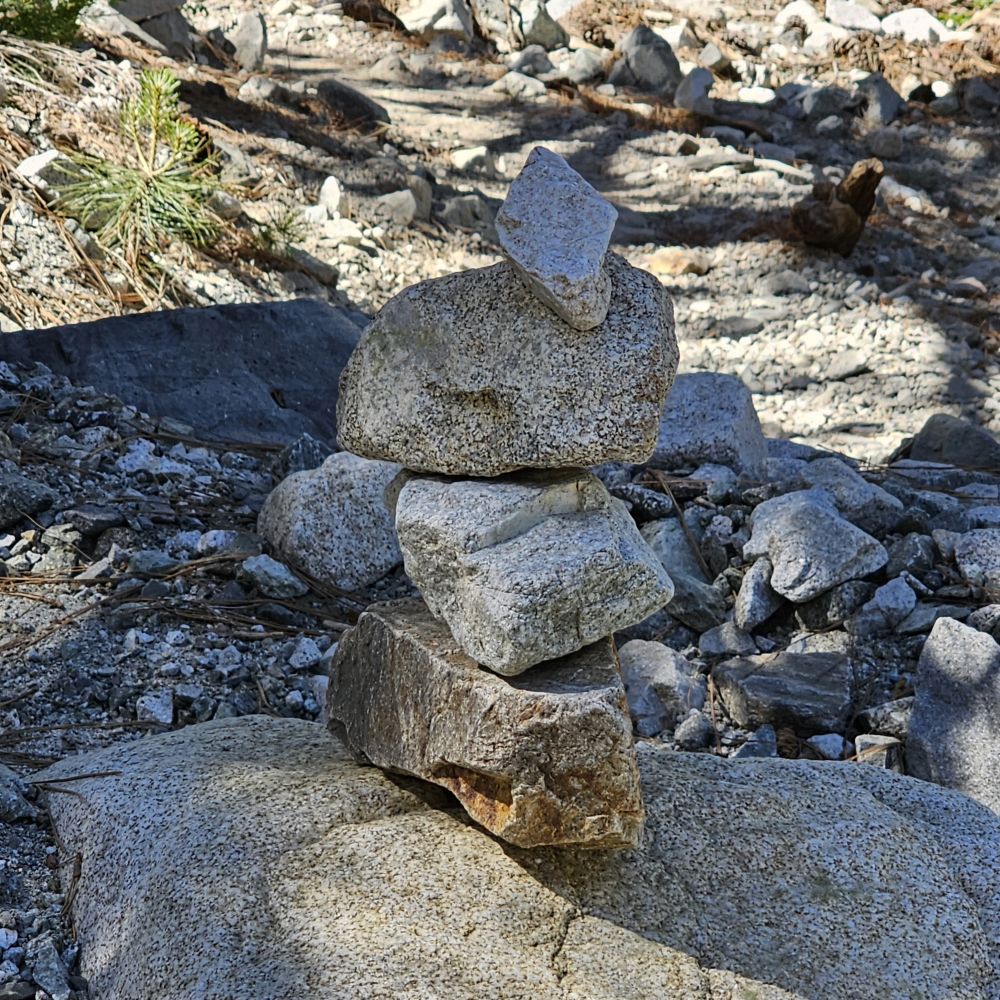 20230618_094912.jpg