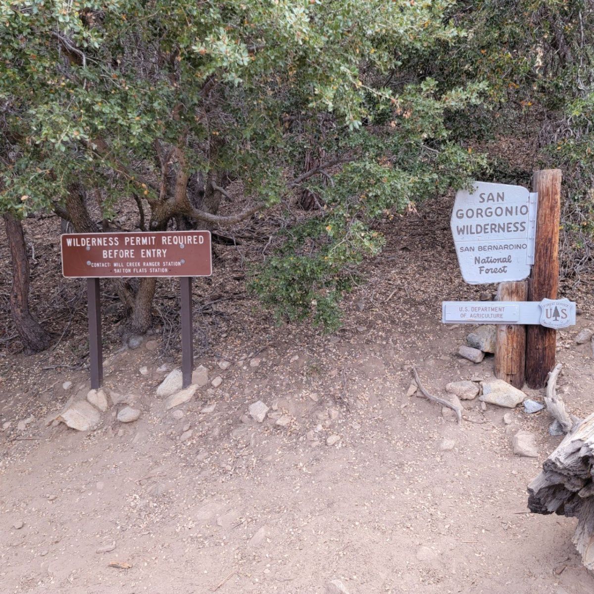 1625521401931-28.jpg