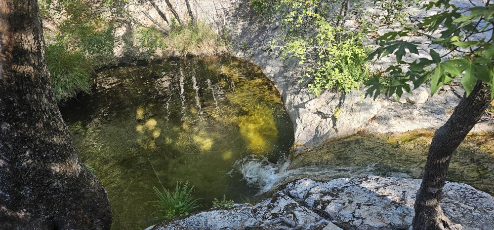 20240721_090322.jpg