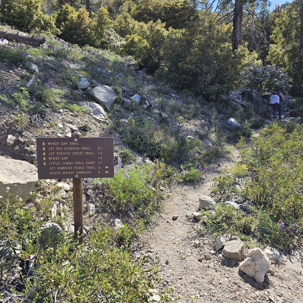 20230625_095652.jpg