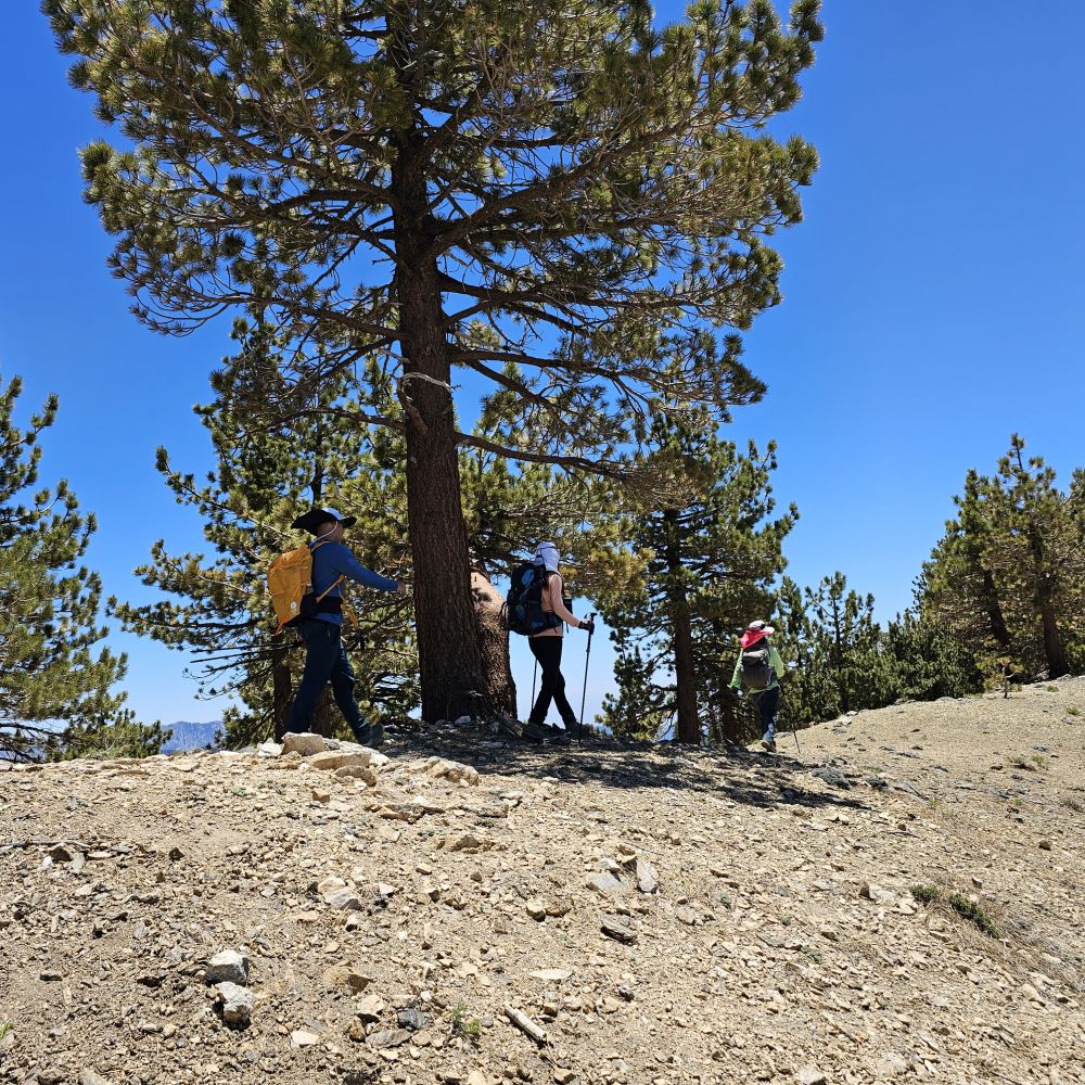 20230625_130125.jpg