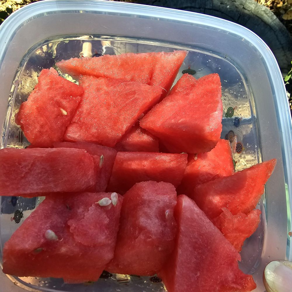 20230625_122709.jpg