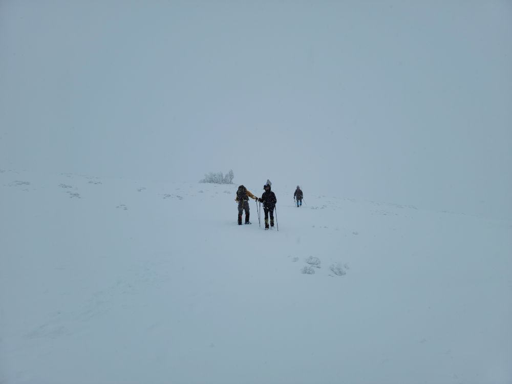 20230101_130531.jpg