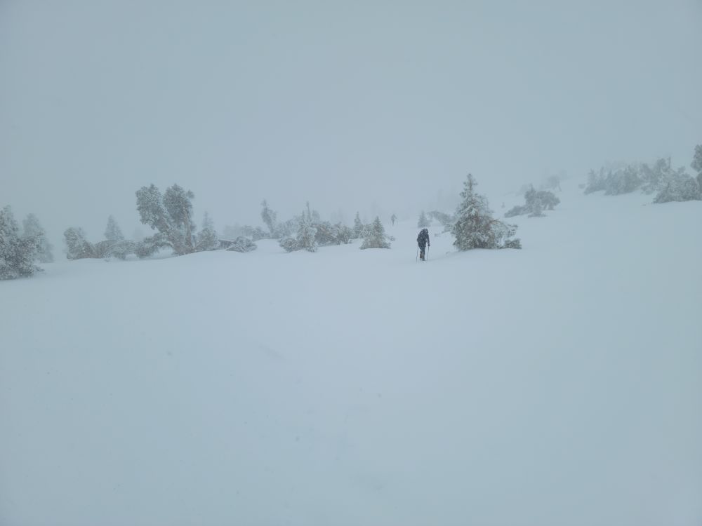20230101_125547.jpg