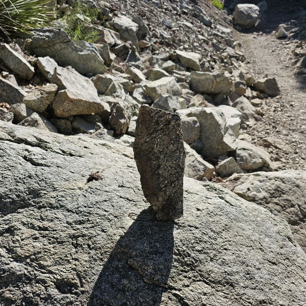 20230702_092111.jpg