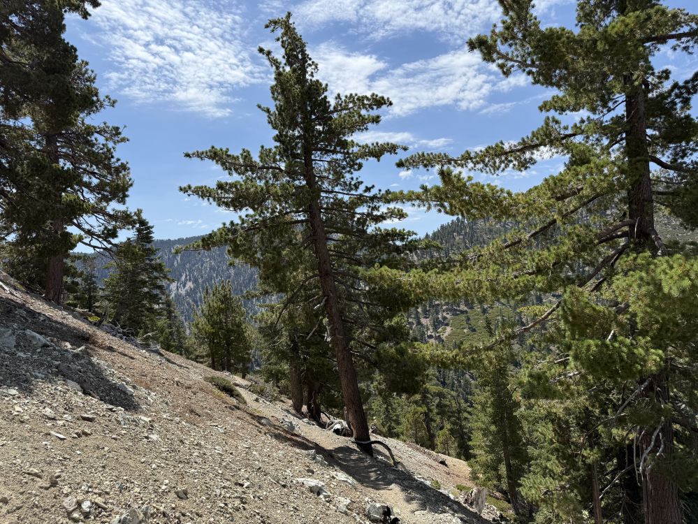 KakaoTalk_20250824_175418867_12.jpg