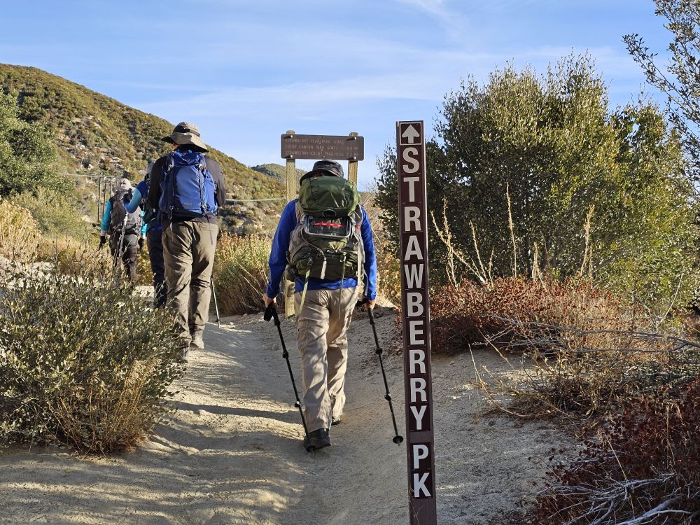 20241208_081925.jpg