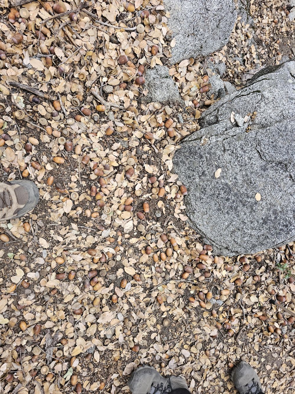 20241208_113312.jpg