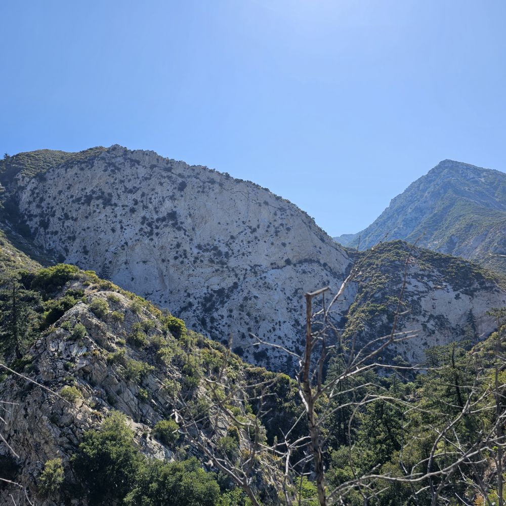 20230709_094557.jpg
