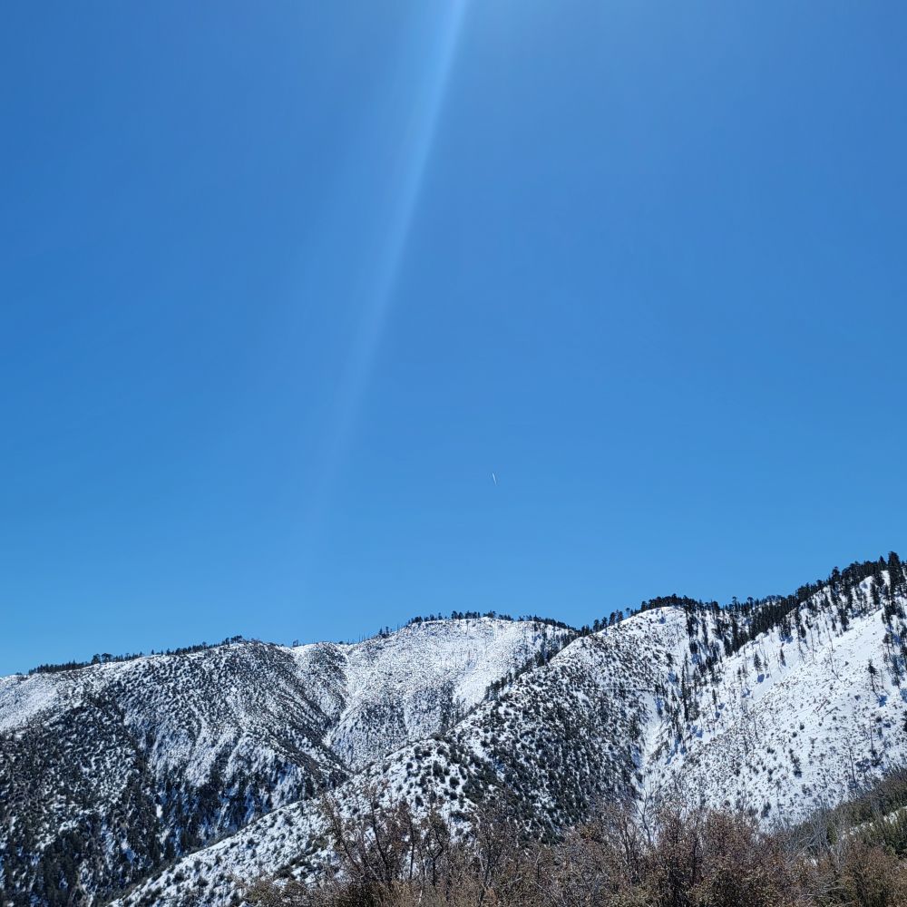 20230402_112746.jpg