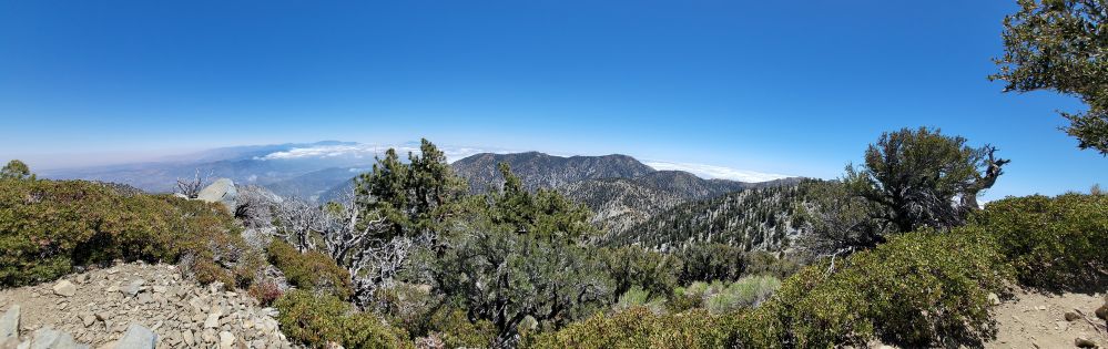 20220529_130623.jpg
